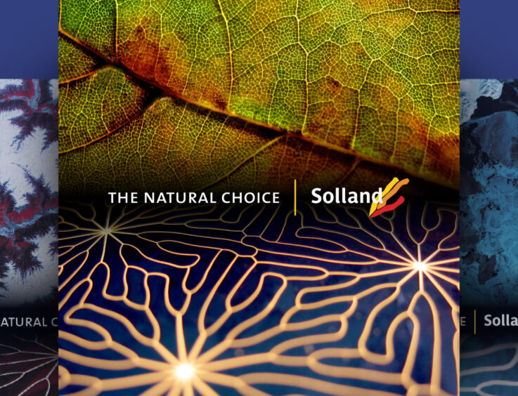 Solland Solar banner - Stoere Binken Design